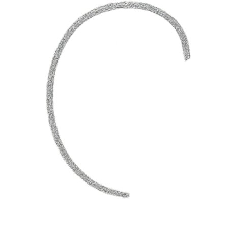 How to Draw a Dolphin for Kids Step 01