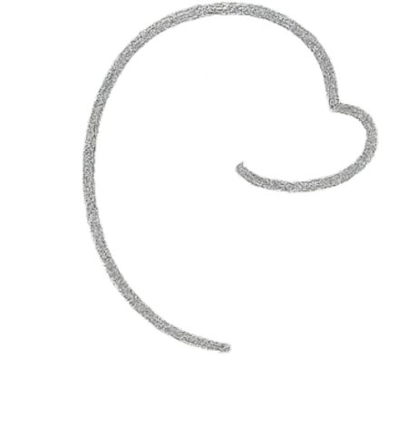 How to Draw a Dolphin for Kids Step 02