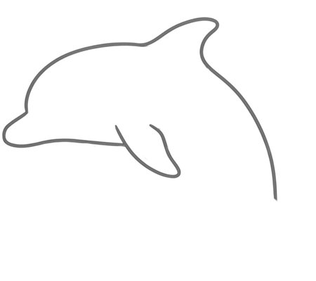 How to Draw a Dolphin for Teens Step 02