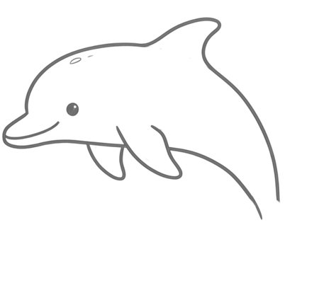 How to Draw a Dolphin for Teens Step 03