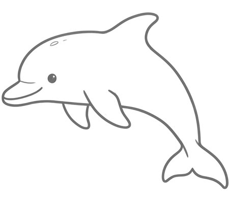 How to Draw a Dolphin for Teens Step 04