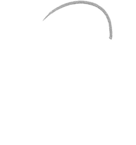 How to Draw a Dolphin for Tweens Step 01