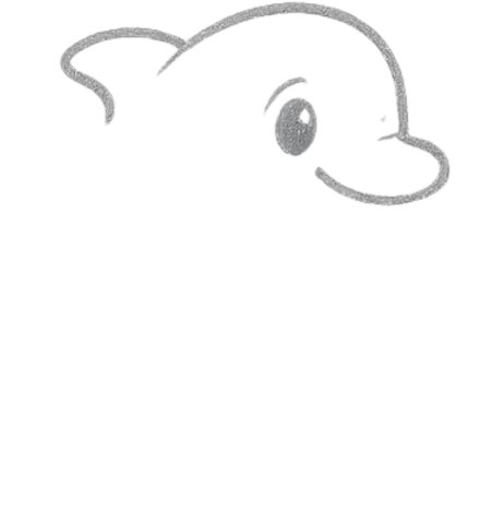 How to Draw a Dolphin for Tweens Step 03