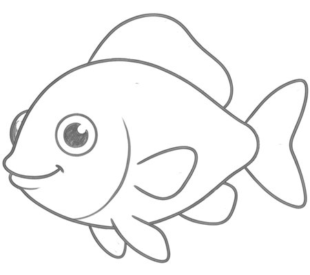 How to Draw a Fish for Teens Step 04