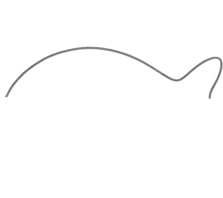 How to Draw a Fish for Tweens Step 01