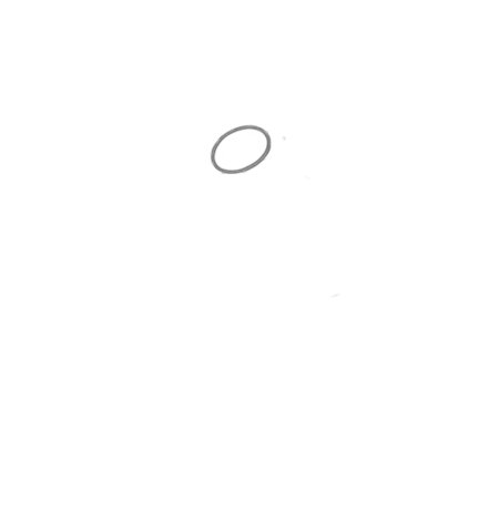 How to Draw a Flower for Adults Step 01