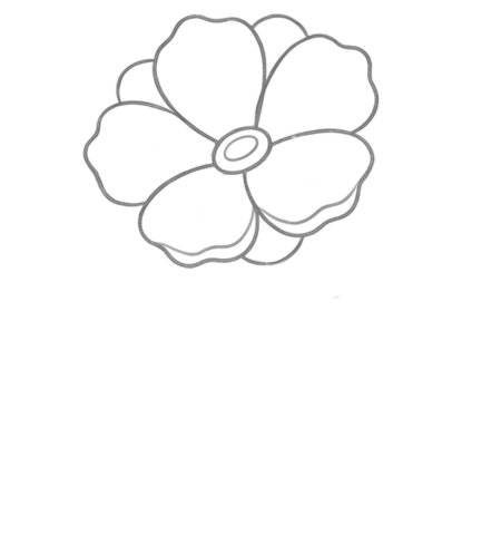 How to Draw a Flower for Adults Step 03