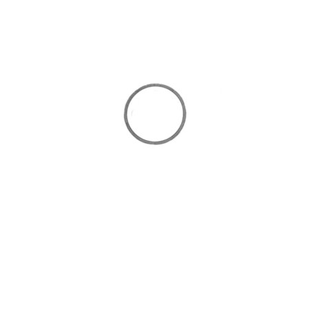 How to Draw a Flower for Teens Step 01