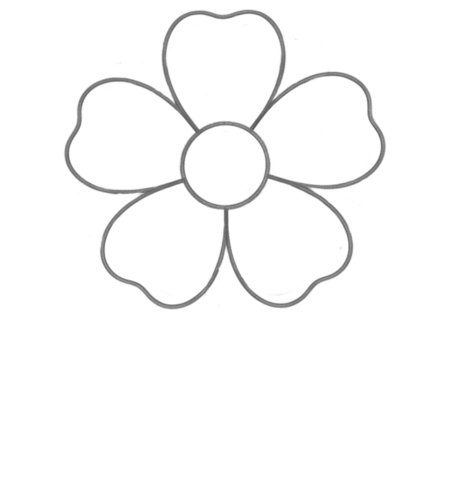 How to Draw a Flower for Teens Step 02