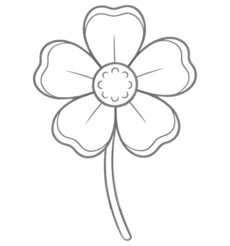 How to Draw a Flower for Teens Step 04
