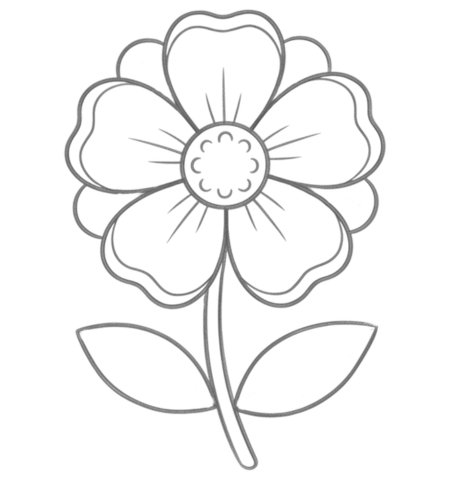 How to Draw a Flower for Teens Step 05