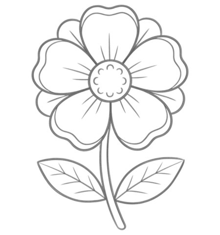 How to Draw a Flower for Teens Step 06