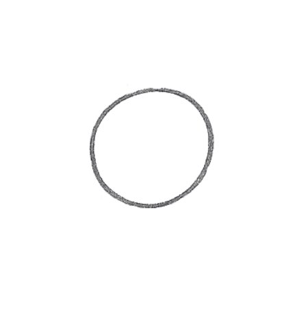 How to Draw a Flower for Tweens Step 01