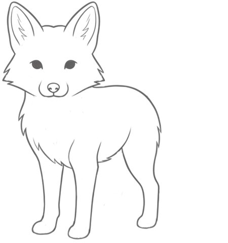 How to Draw a Fox for Adults Step 03