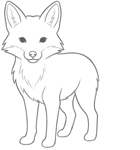 How to Draw a Fox for Adults Step 04