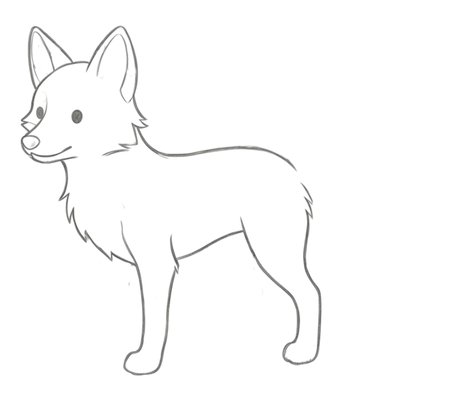 How to Draw a Fox for Teens Step 03
