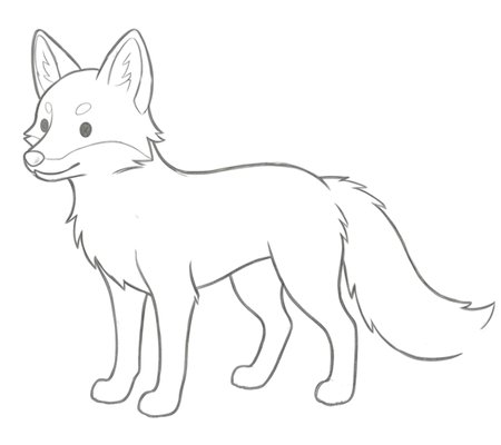 How to Draw a Fox for Teens Step 04