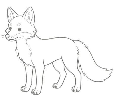 How to Draw a Fox for Teens Step 05