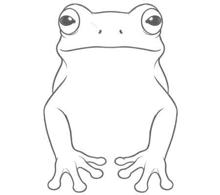 How to Draw a Frog for Adults Step 03