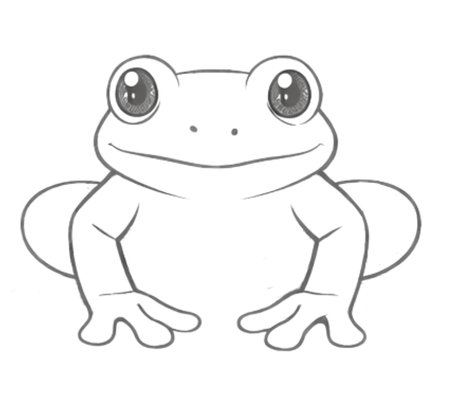 How to Draw a Frog for Teens Step 03