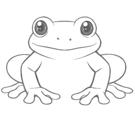 How to Draw a Frog for Teens Step 04