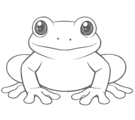 How to Draw a Frog for Teens Step 05
