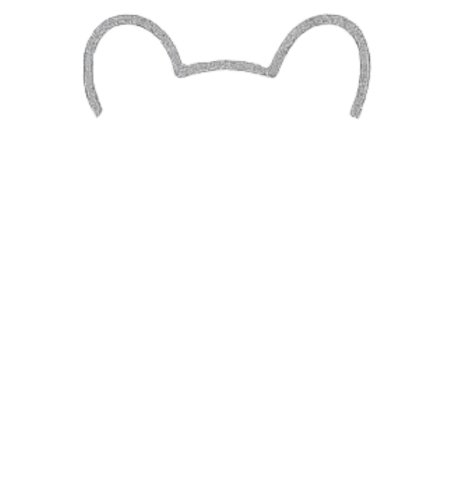How to Draw a Frog for Tweens Step 01
