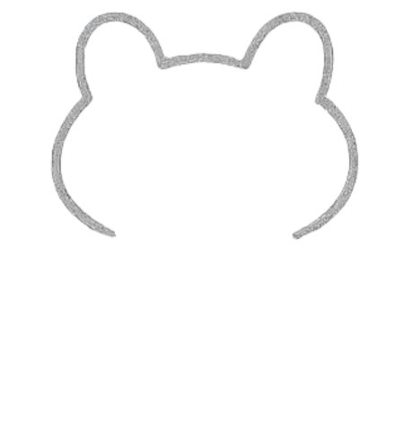 How to Draw a Frog for Tweens Step 02