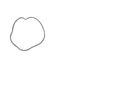 How to Draw a Lion for Teens Step 01
