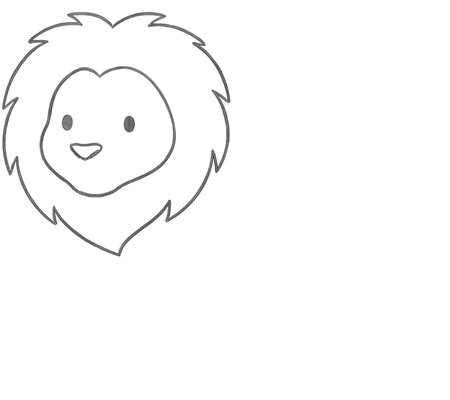 How to Draw a Lion for Teens Step 02