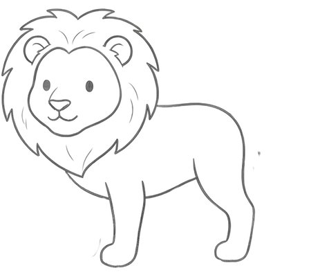 How to Draw a Lion for Teens Step 04