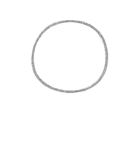How to Draw a Lion for Tweens Step 01