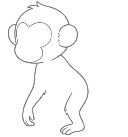 How to Draw a Monkey for Teens Step 02