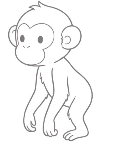 How to Draw a Monkey for Teens Step 03