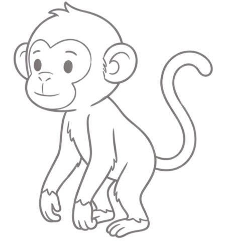 How to Draw a Monkey for Teens Step 06