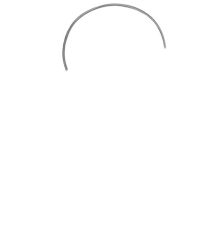 How to Draw a Penguin for Adults Step 01