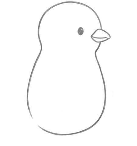 How to Draw a Penguin for Adults Step 03
