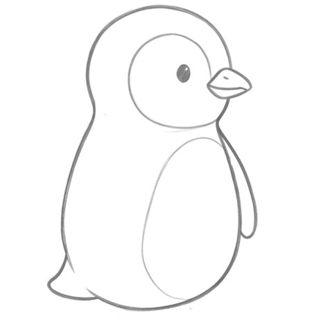How to Draw a Penguin for Adults Step 04