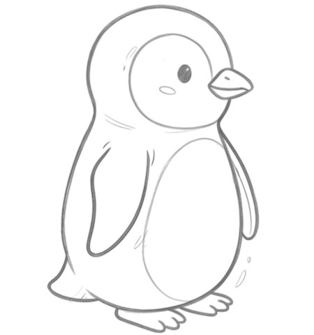 How to Draw a Penguin for Adults Step 06