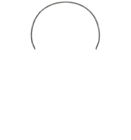 How to Draw a Penguin for Teens Step 01