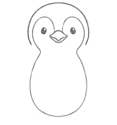 How to Draw a Penguin for Teens Step 03