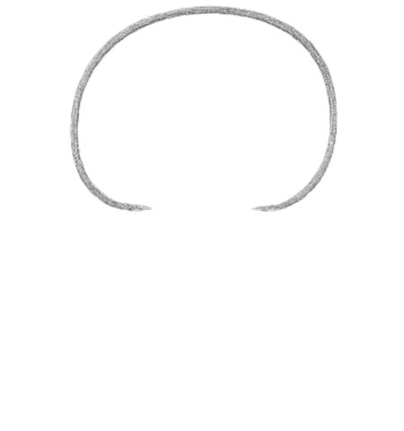 How to Draw a Penguin for Tweens Step 01