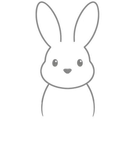 How to Draw a Rabbit for Teens Step 02