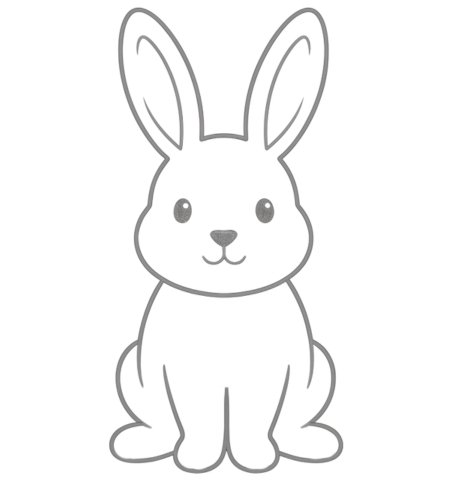 How to Draw a Rabbit for Teens Step 05