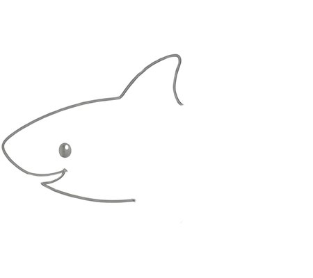 How to Draw a Shark for Adults Step 02