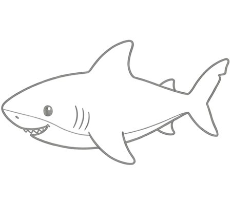 How to Draw a Shark for Adults Step 06
