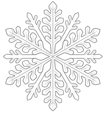 How to Draw a Snowflake for Adults Step 06