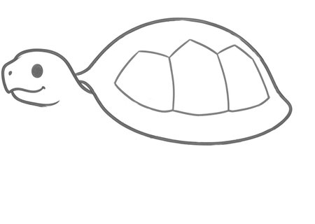 How to Draw a Turtle for Adults Step 03