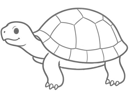 How to Draw a Turtle for Adults Step 04