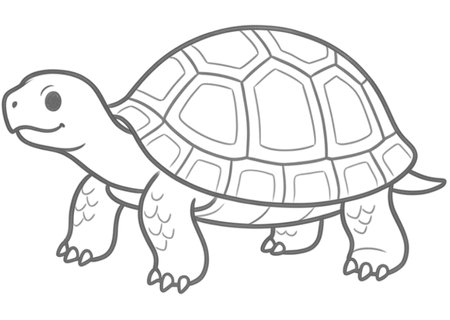 How to Draw a Turtle for Adults Step 06